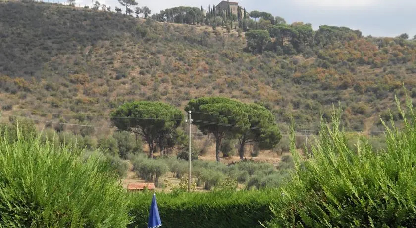 Oliveto di Teodora
