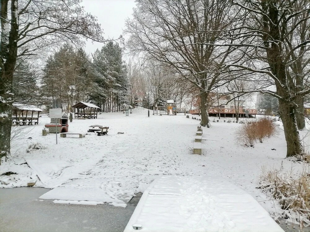 Letniskowa 24 Ogonki