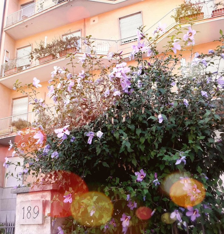Bed & Breakfast Corso Di Francia