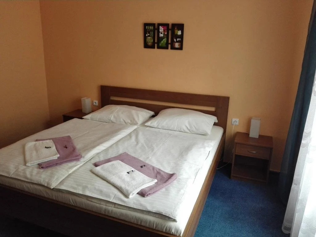 Hotel Venec