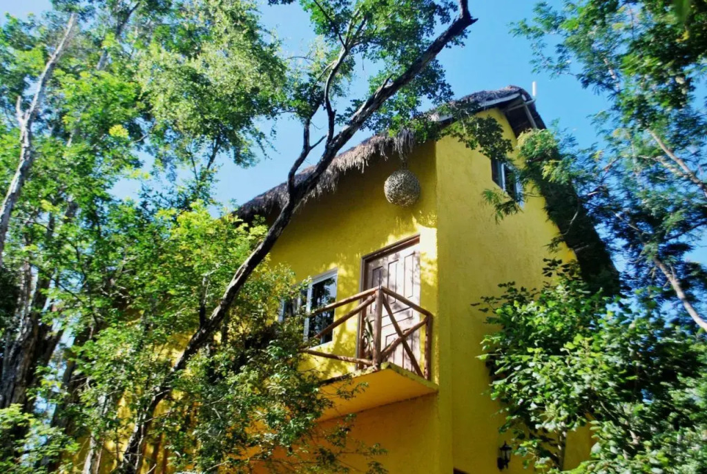 The Yellow House