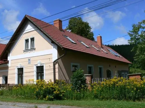 Hotel Vír