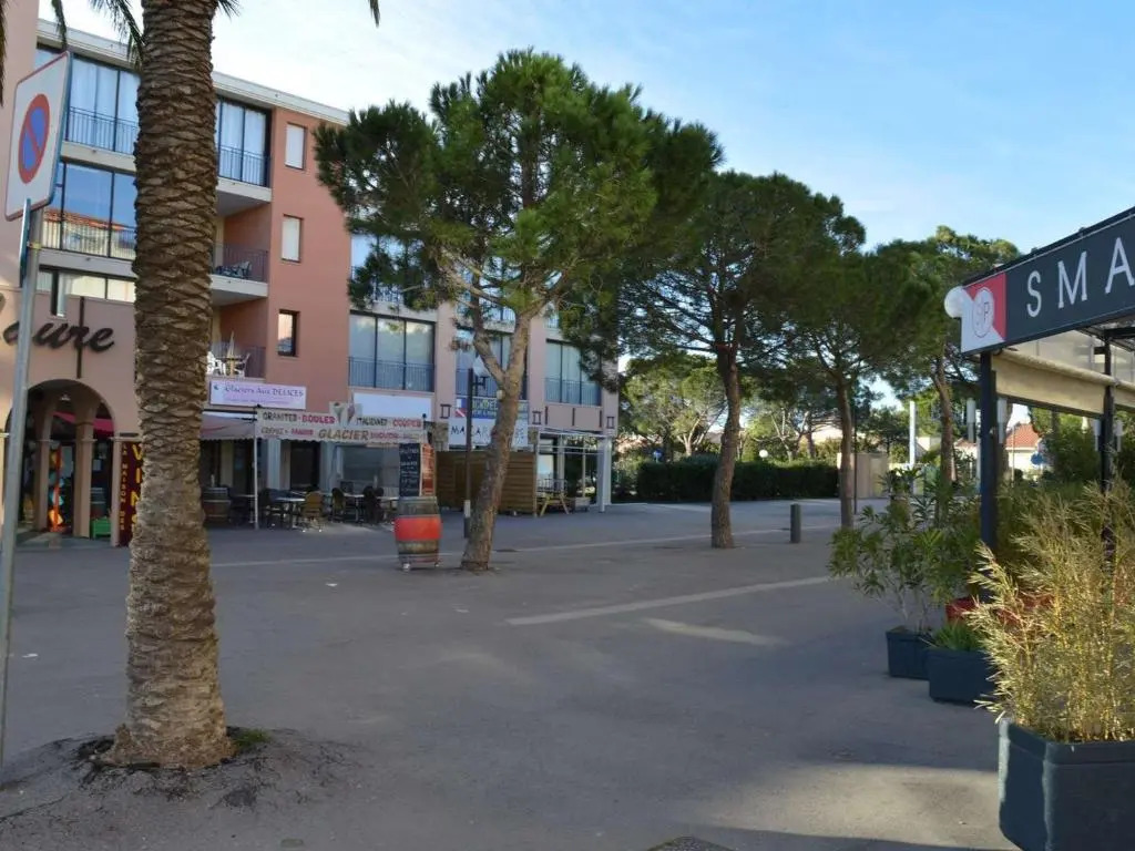 Appartement Argelès-sur-Mer, 2 pièces, 4 personnes - FR-1-225-680