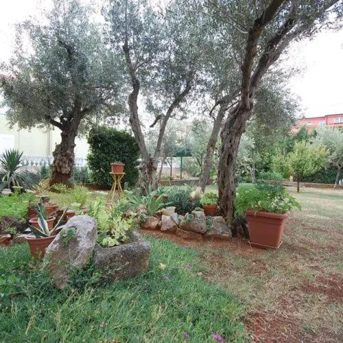 Apartment Dorcic
