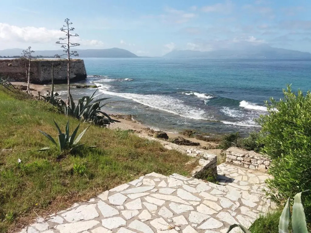 Nestor Sea Studio