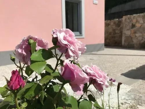 Vila Burbonka