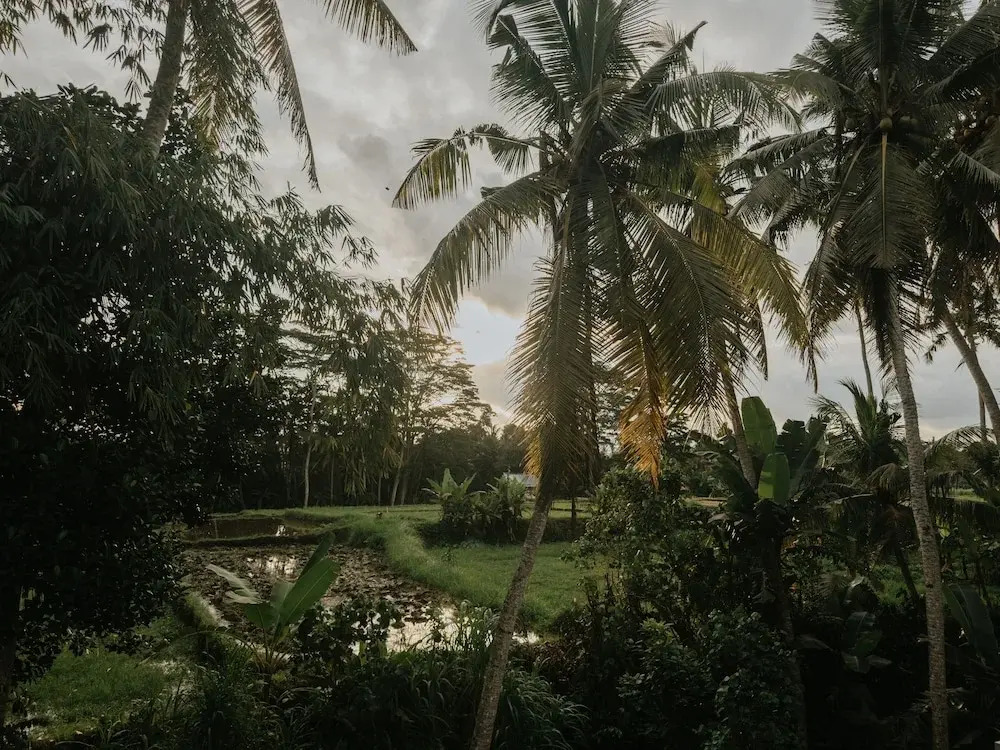 Uma Lys Villa Ubud