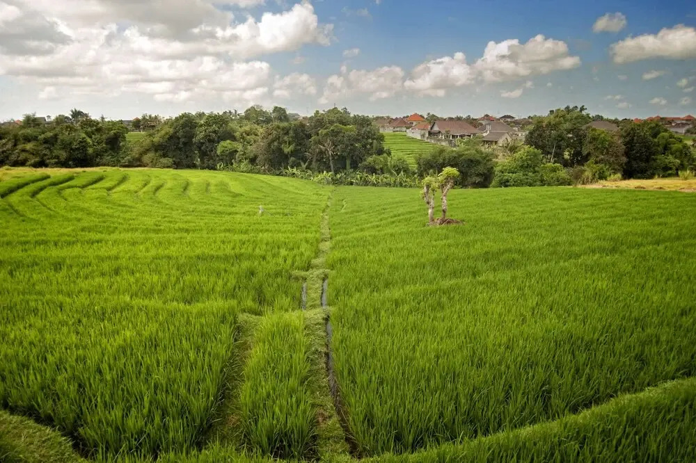 Luxury Villa in Bali near Beach, Bali Villa 2054