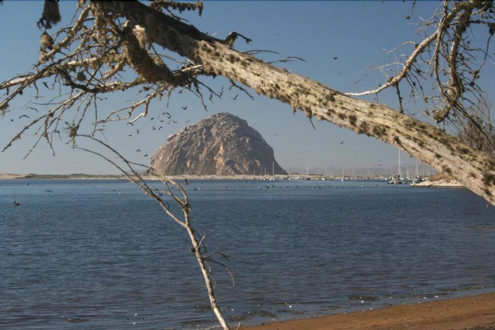 Cayucos Condo Unit 12 - 2 Br Condo