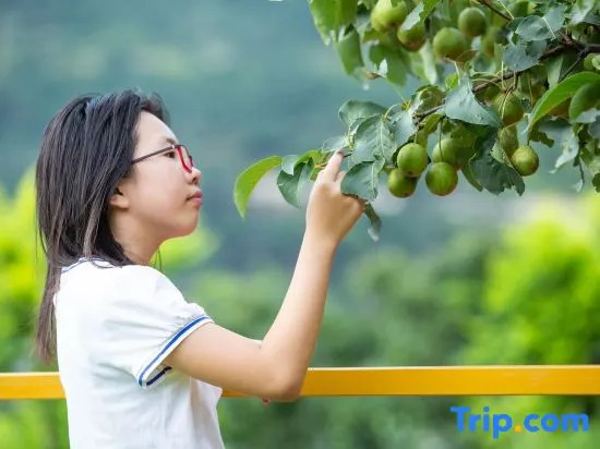 Xiangbo Bowen Travel Has A Mining Homestay At Home