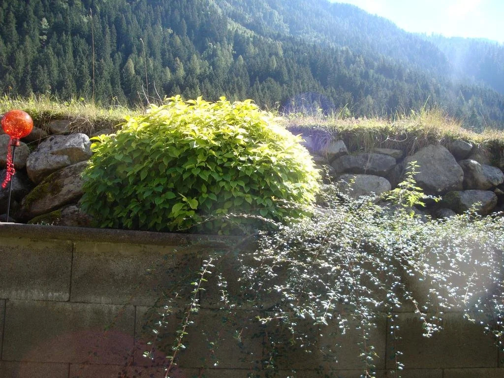Alpenecho