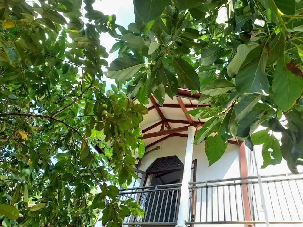 Homestay 24