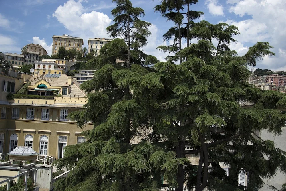 Sky On The Roofs - Il Cielo Sui Tetti