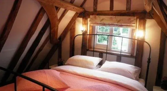 Wilderness B&B
