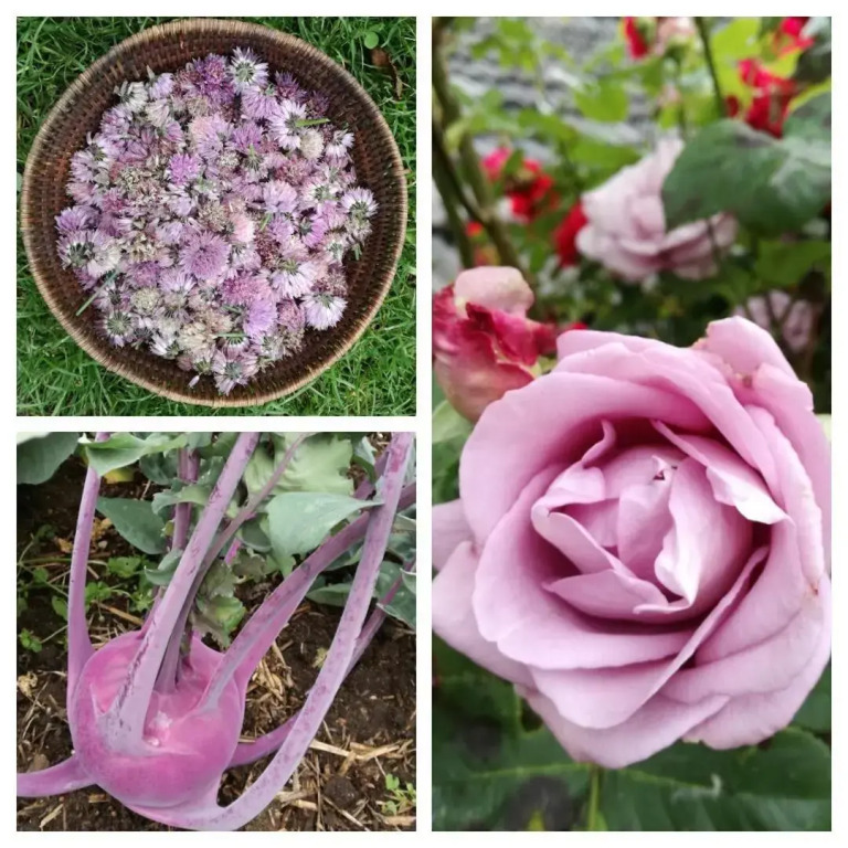Warmoes tuinderswoning