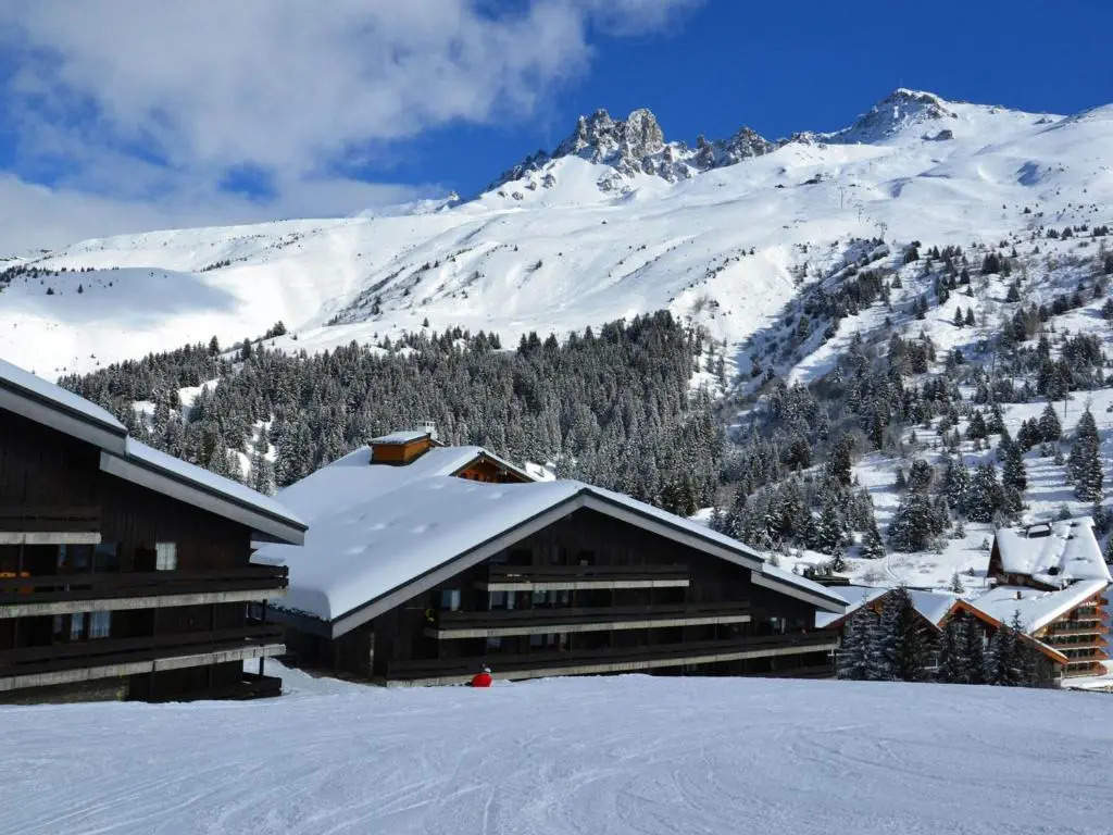 Appartement Méribel, 1 pièce, 3 personnes - FR-1-182-42