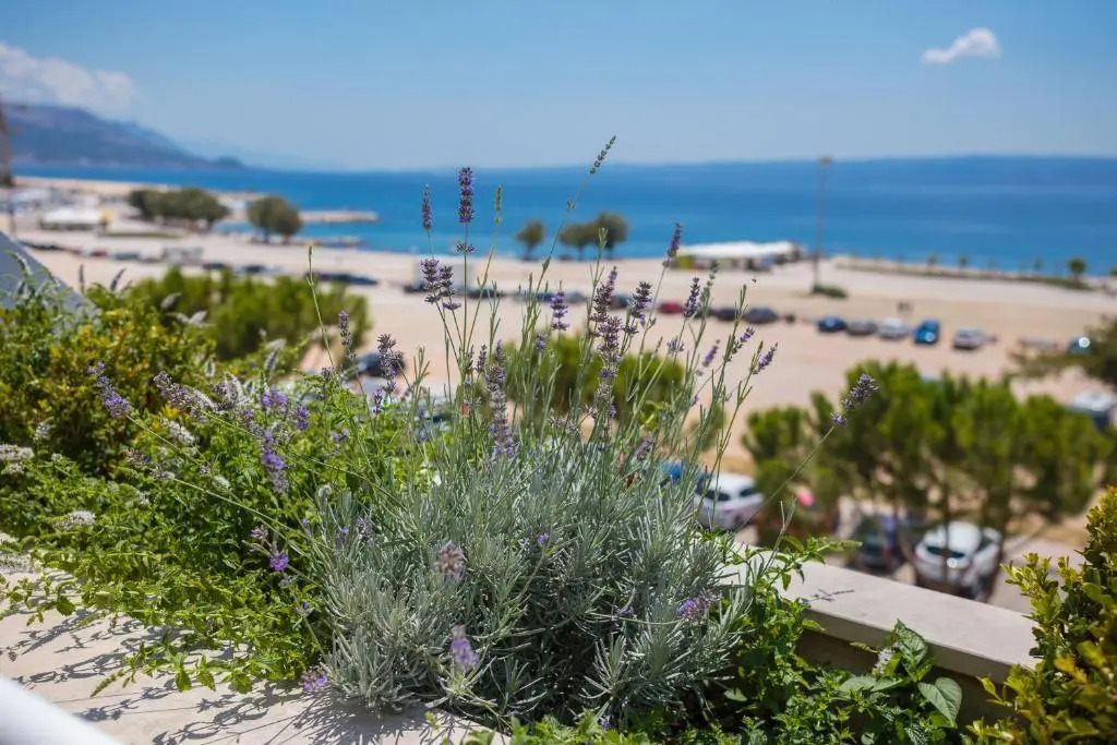 Seaside Apartment Gold 1row