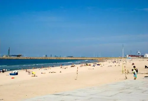 O Sardinhas