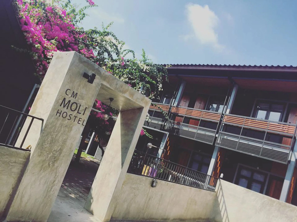 Migoo Chiang Mai