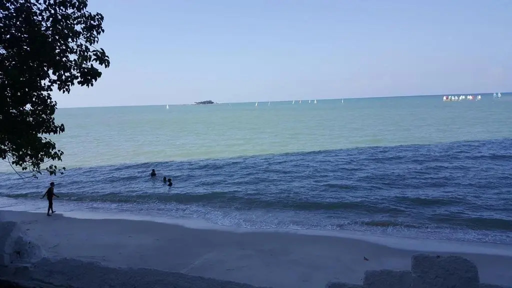 The Wave
