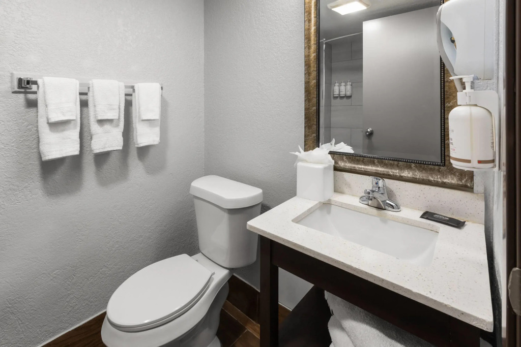 Baymont by Wyndham Downtown Detroit
