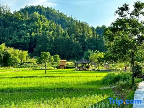 Xidi · Heman · Art Light Luxury Romantic Courtyard Charm Beauty Stay (Xidi Scenic Area Store)