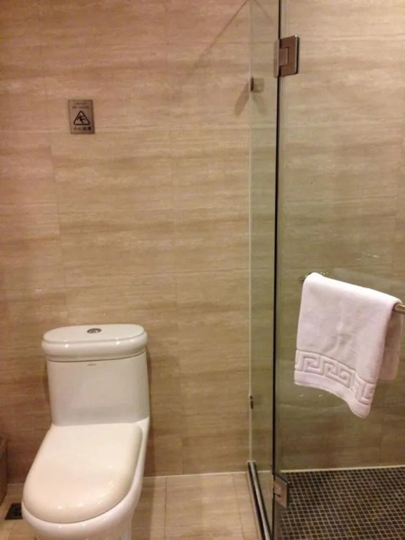 Chongqing Zhiyue Hotel