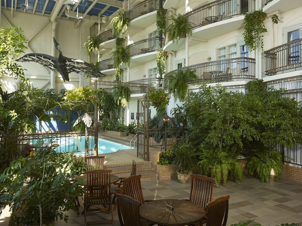 Hotel LOie des neiges