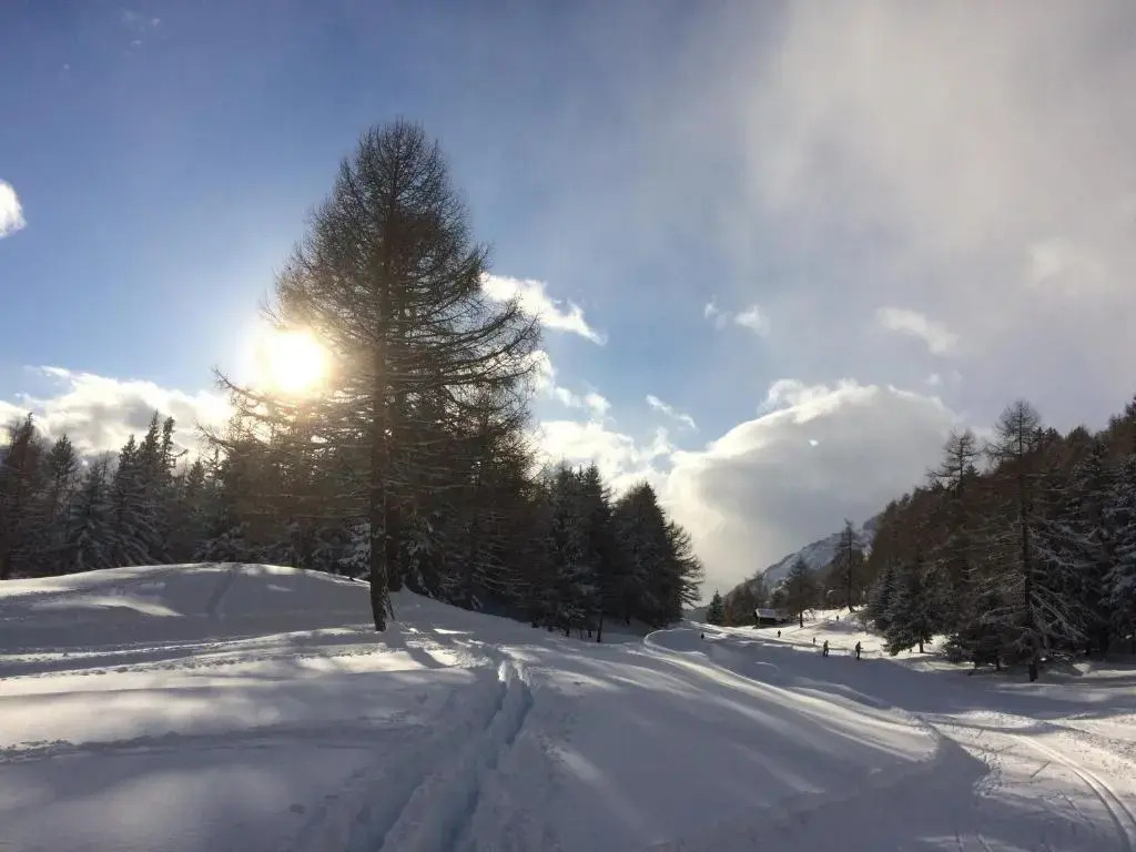 Chalet Wildhorn