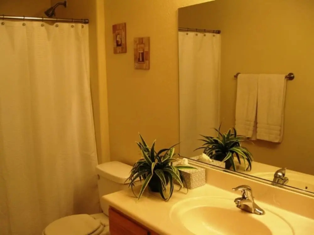 Storrier, Michael 2 Bedroom Condo