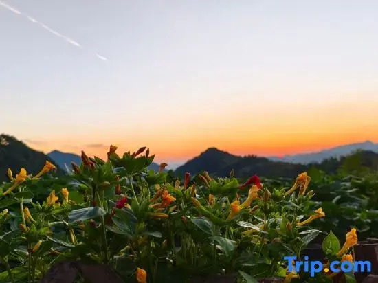 Xingqing Homestay