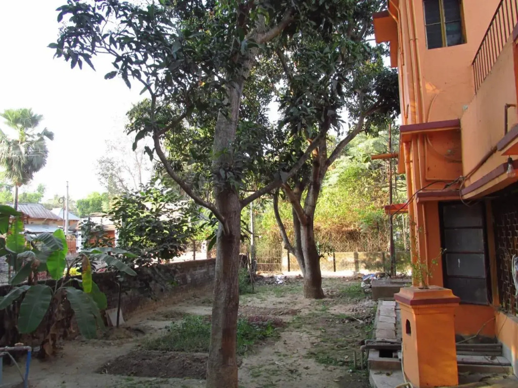 Pubali Homestay Shantiniketan