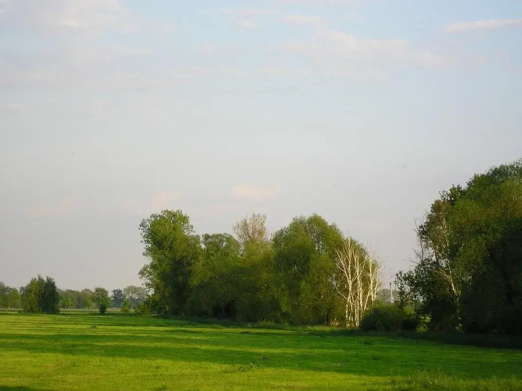 Parkhotel Schönewalde