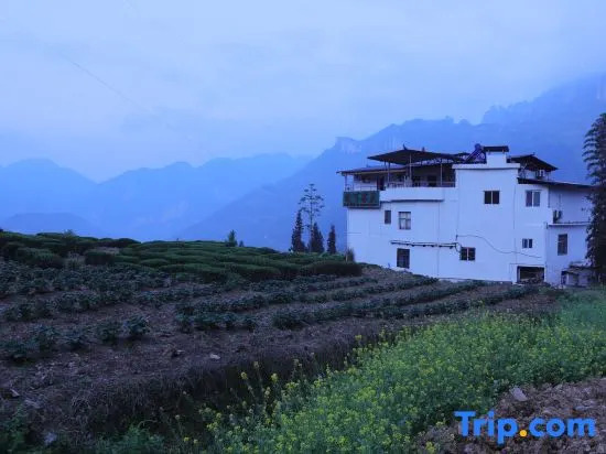 Where to Stay in Yunxia Tea House(恩施云下茶庄住宿)