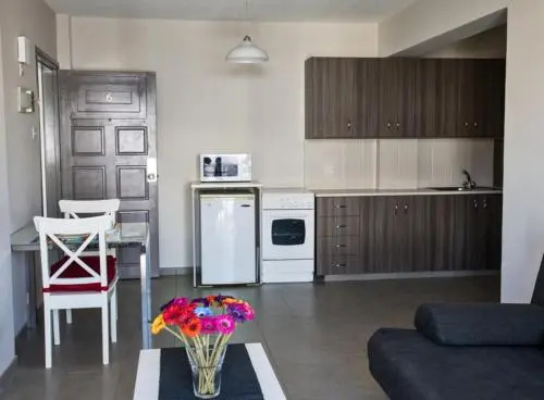 Imagine Your Family Renting a Luxury Holiday Villa Close To Ayia Napa’ Main Attractions, Ayia Napa Apartment 1330