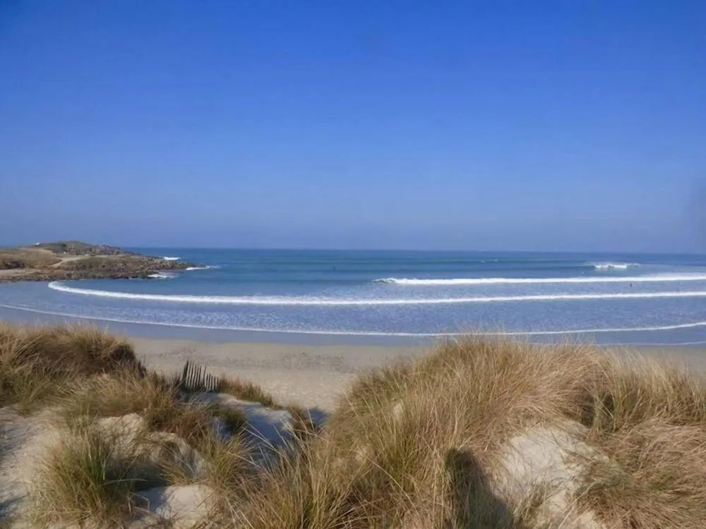Surf Camp XXIX