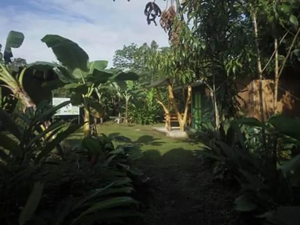 Rancho Verde de Osa