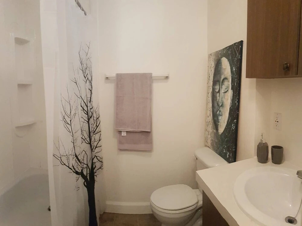 Stylish Apartment, One Bedroom, Parking, Near Everything