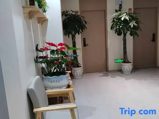 Qifeng Homestay (Xingyi DCF)