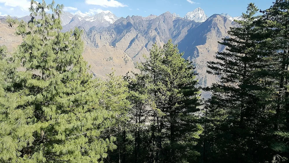 Mount View Annexy