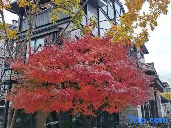 Yunqi Tea House