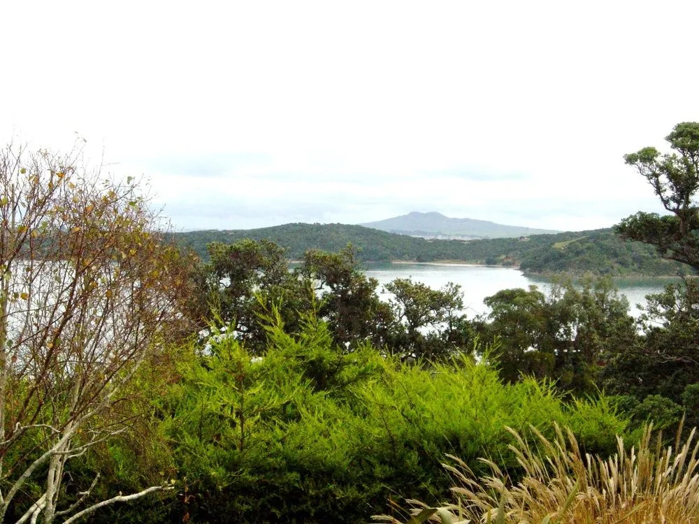 Waiheke Island Vineyard Holiday Houses