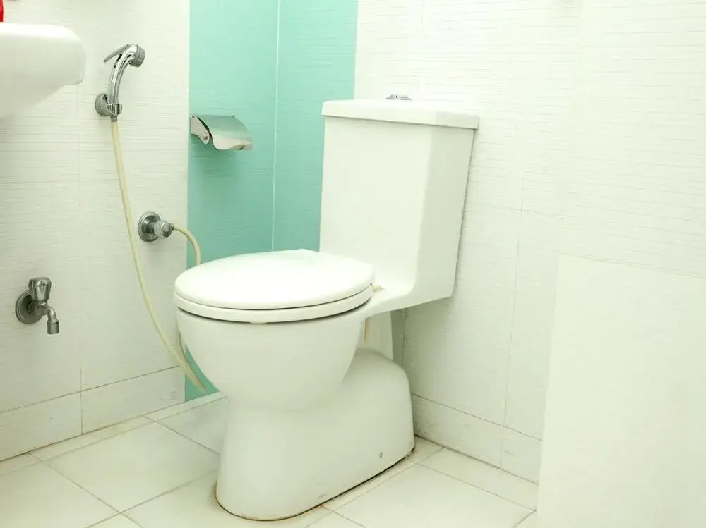 OYO 2289 Hotel Radha Palace