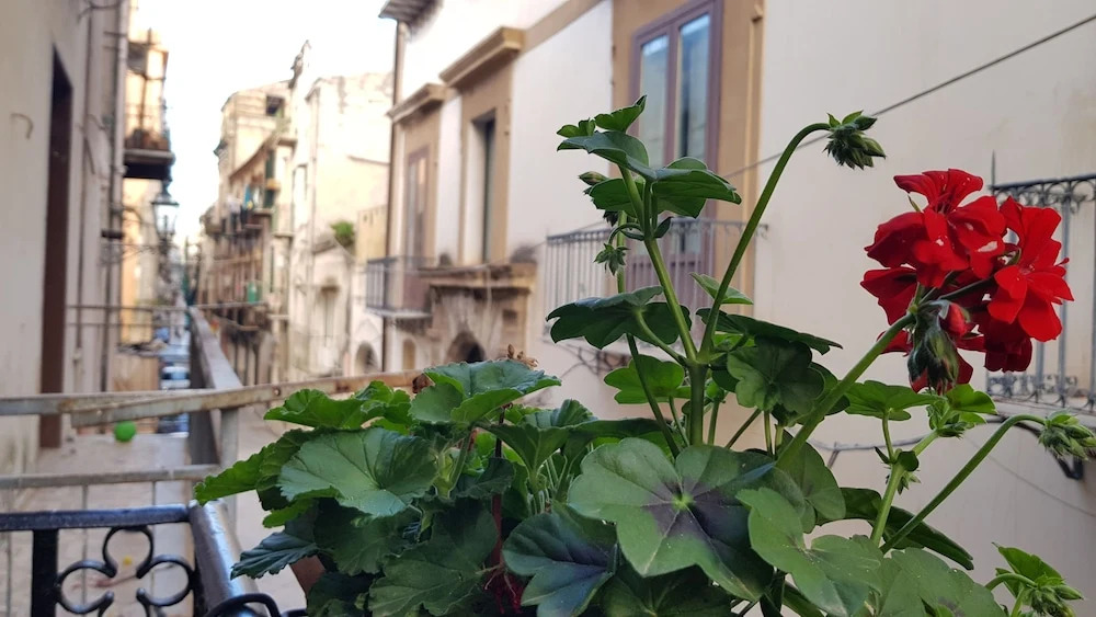 Venere