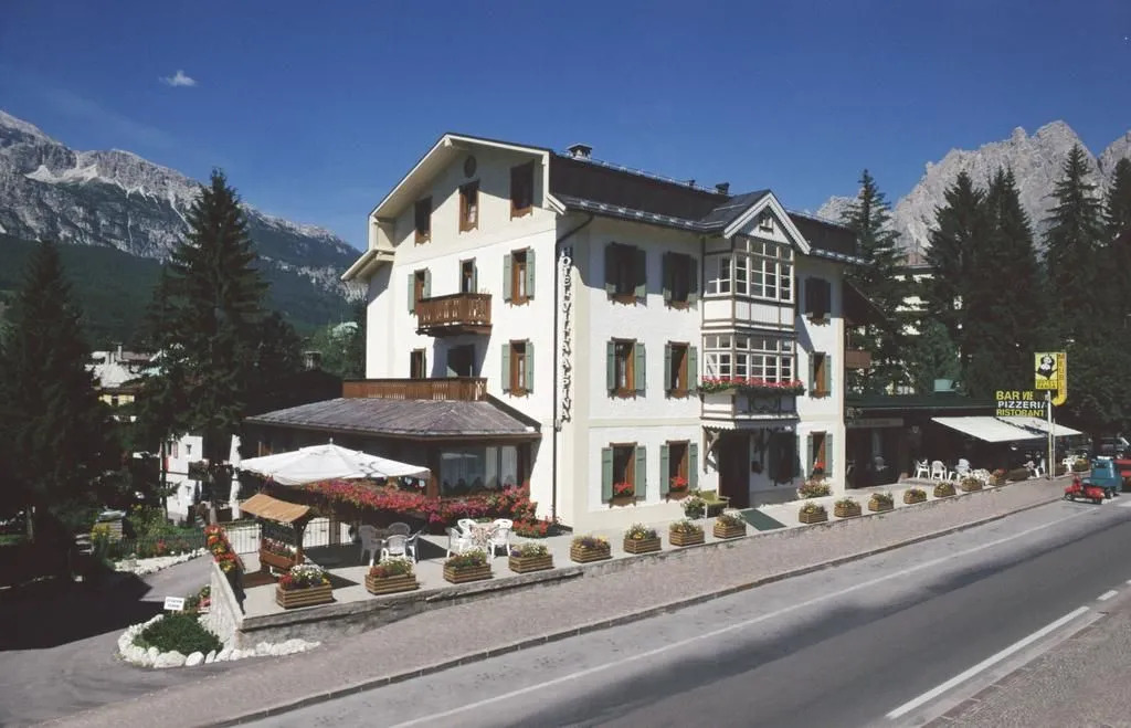 Hotel Villa Alpina ***S