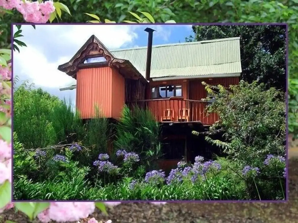 Sycamore Avenue Treehouses & Cottages Accommodation