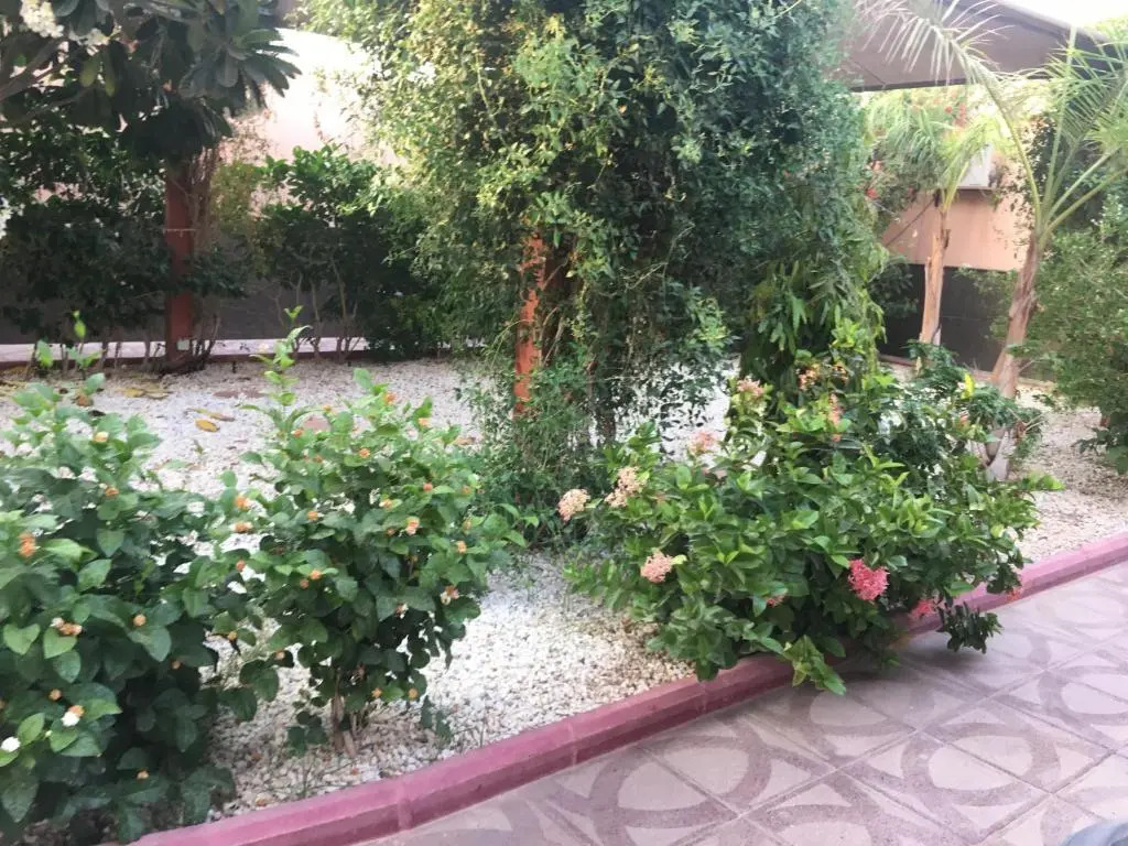 The Coral House