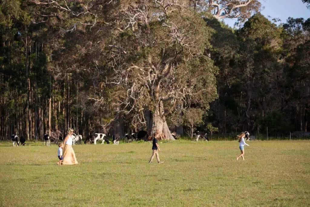 Redgate Forest Retreat