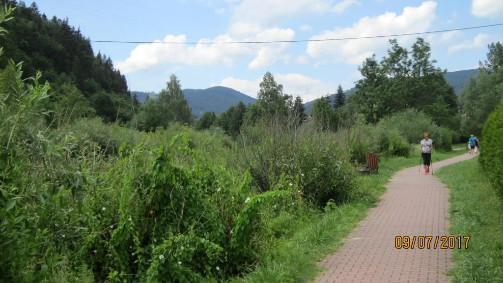 Villa Vitalis
