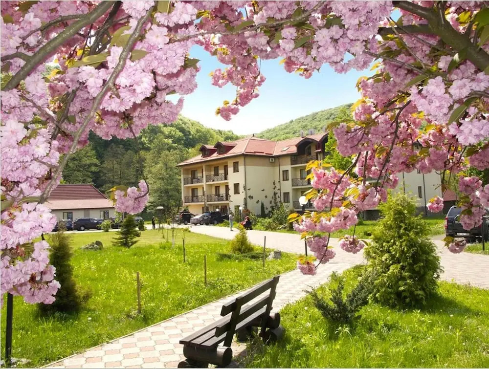 Bogolvar Retreat Resort - Курорт для усамітнення "Богольвар"